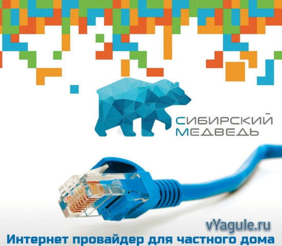 Проводной интернет Сибирский Медведь