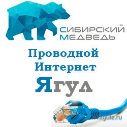 Проводной интернет Сибирский Медведь